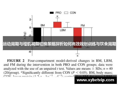 运动周期与增肌减脂切换策略探析如何高效规划训练与饮食周期